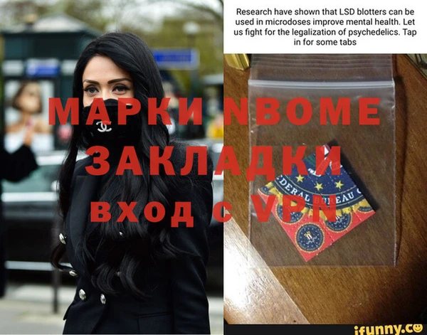 стаф Алексин