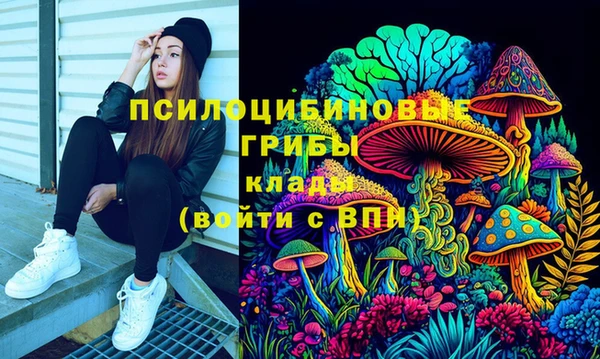 стаф Алексин