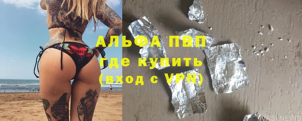 стаф Алексин