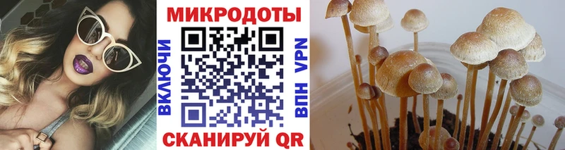 магазин    Волгодонск  Псилоцибиновые грибы мухоморы 